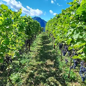 Séjour à la ferme Cascina Teresina, Veleso